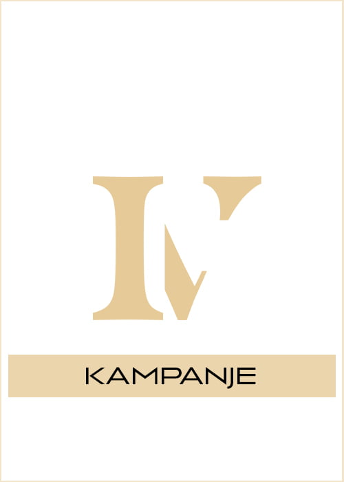 Image module